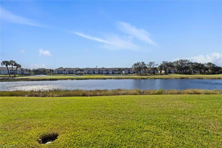 Your lake view while sitting in the lanai, watching the water fowl and golfers roll by.