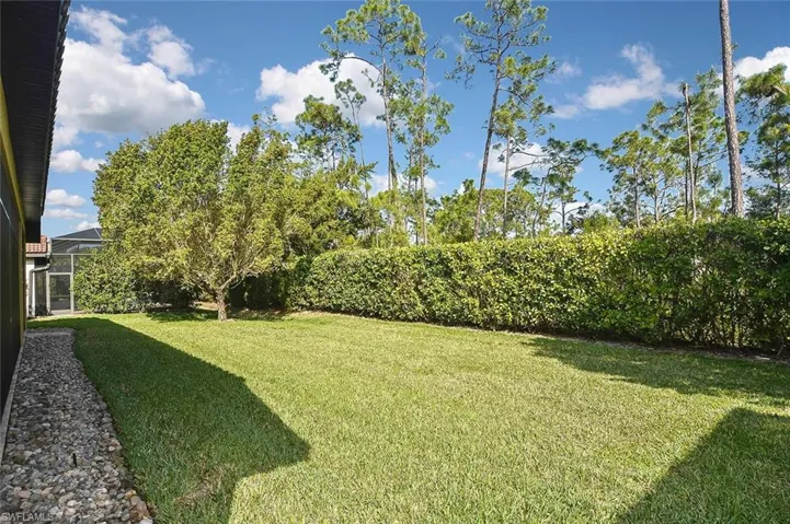 View of grassy yard