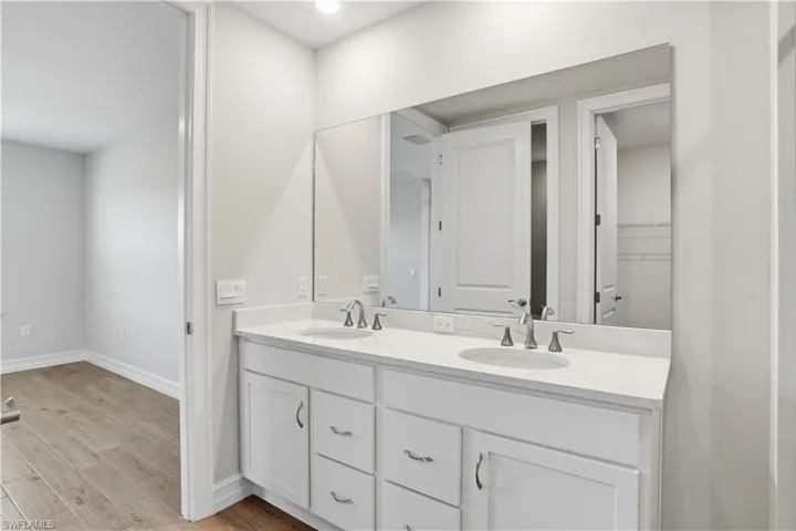 Bathroom with double vanity, light wood finished floors, and a spacious closet