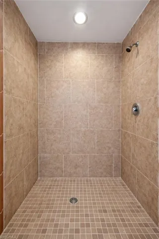 Full bathroom with tiled shower