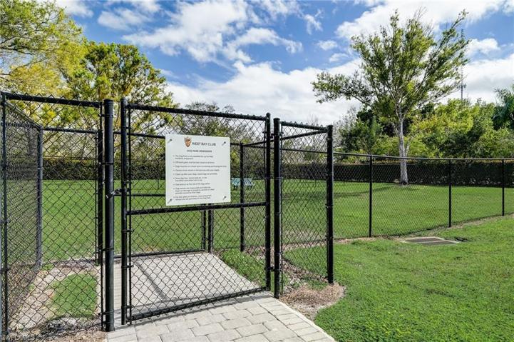 DOG PARK AREA