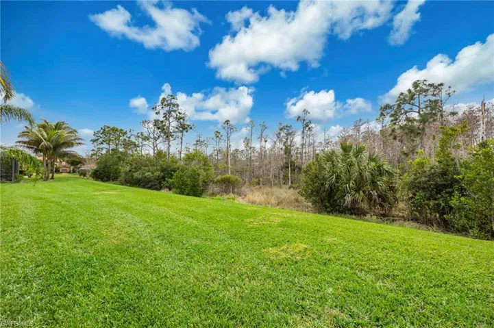 View of grassy yard