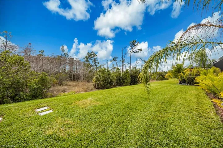 View of grassy yard