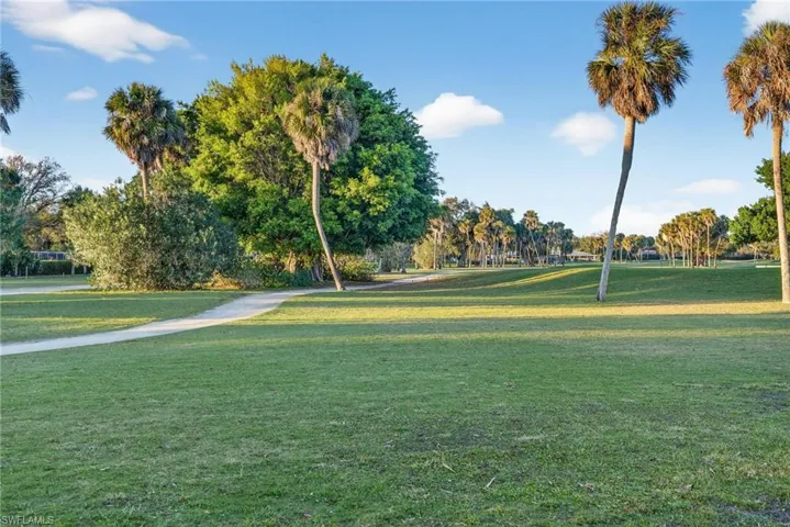 Expansive green space featuring mature palm trees and lush foliage
