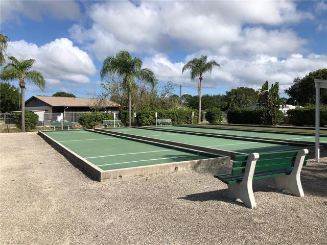 Shuffleboard