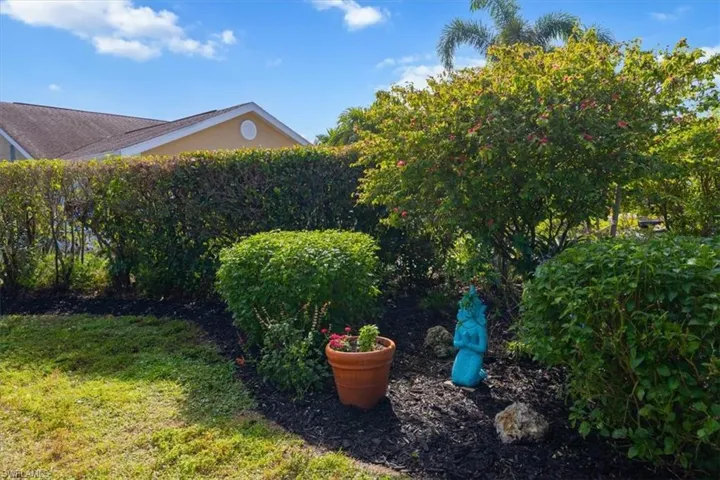 Butterfly Garden