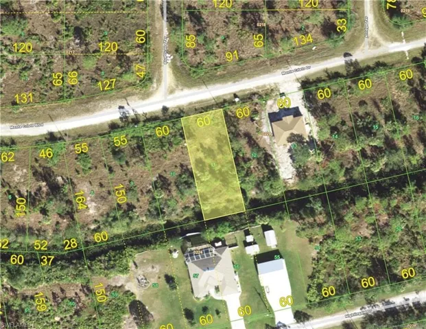 Parcel Map. Displaying lot dimensions and property boundaries for the specified location