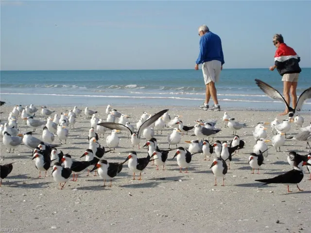 Walk the Beach