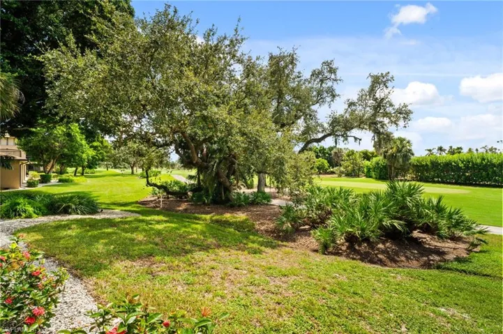 View of grassy yard
