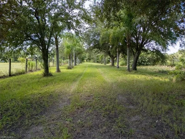 Tree lined driveway