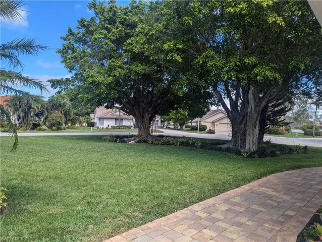 View of yard with Banyan trees