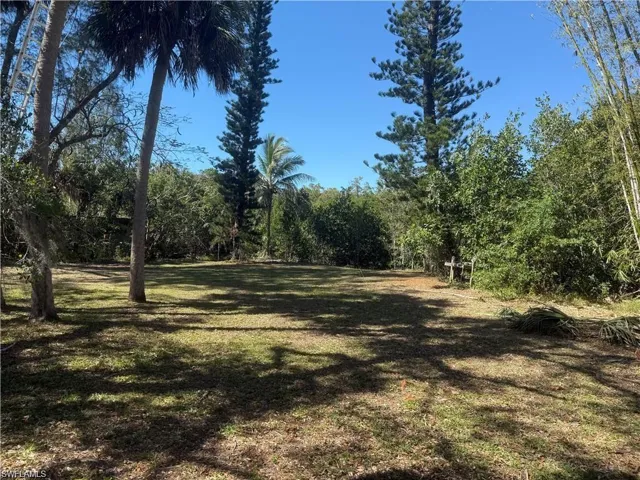 Tastefully cleared grounds