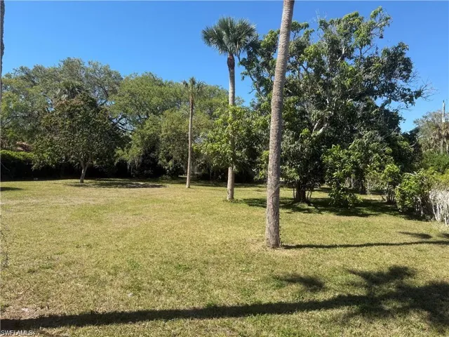 Tastefully cleared grounds