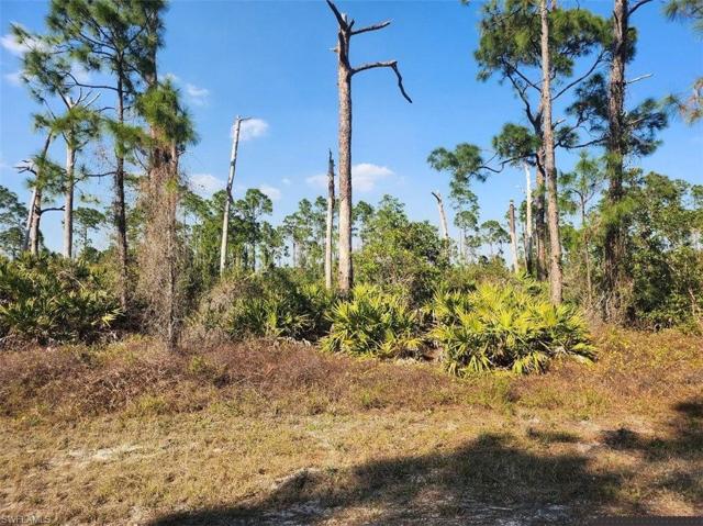 1131  Plantation  RD, LEHIGH ACRES, FL 33974