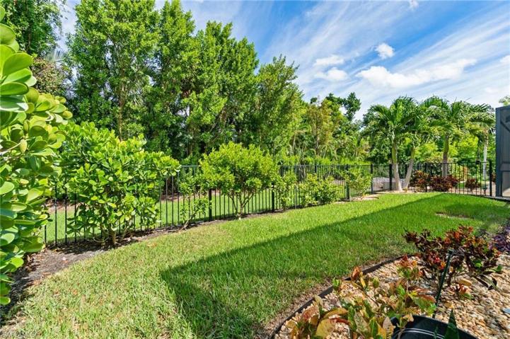 Fully fenced in, lush green backyard