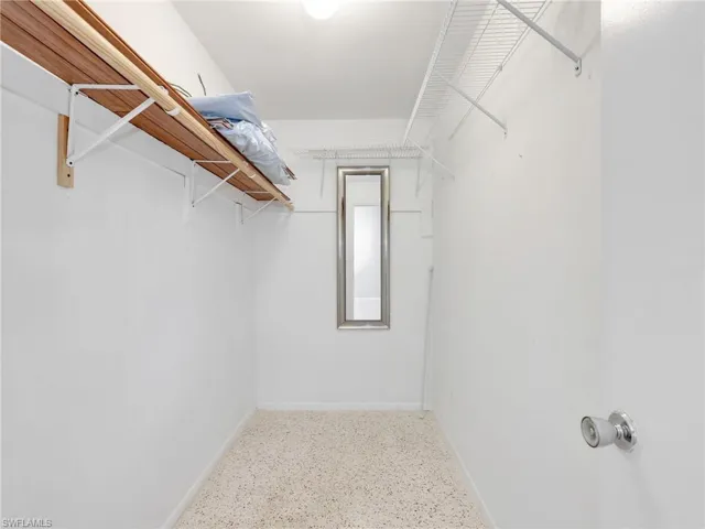 Spacious walk-in closet featuring white walls, a built-in mirror, and varied shelving options including wood-finish and wire racks