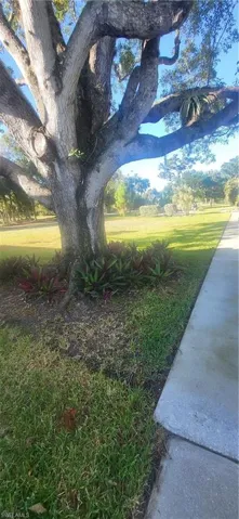 large green space, rare for a condo association, very tranquil grounds, see for yourself!