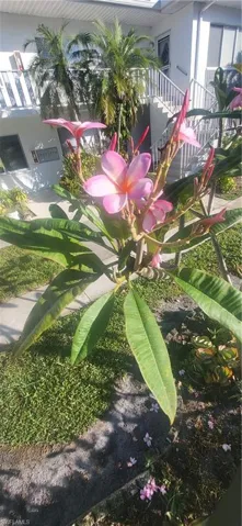 Front outside