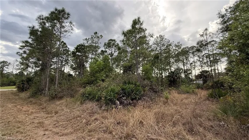 View of undeveloped land - wide-angle view