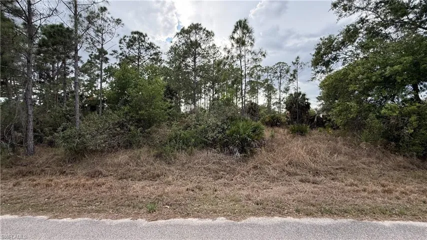 View of undeveloped land - frontage