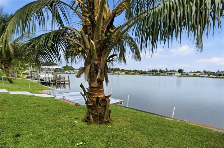 Back Yard Views