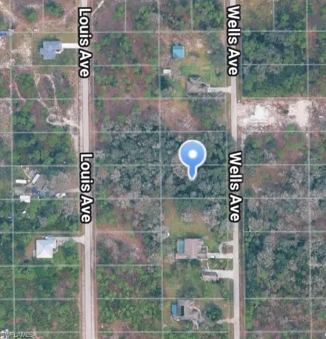 1013 Wells Ave, Lehigh Acres, Florida 33972
