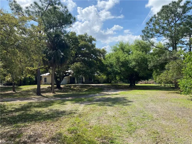 View of green lawn with view of wooded area