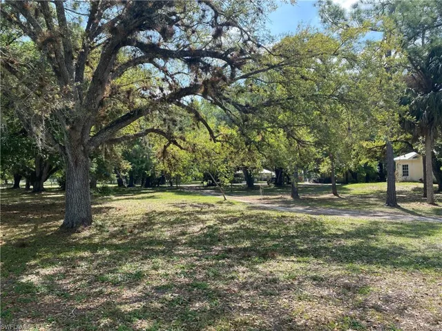 View of green lawn featuring view of wooded area