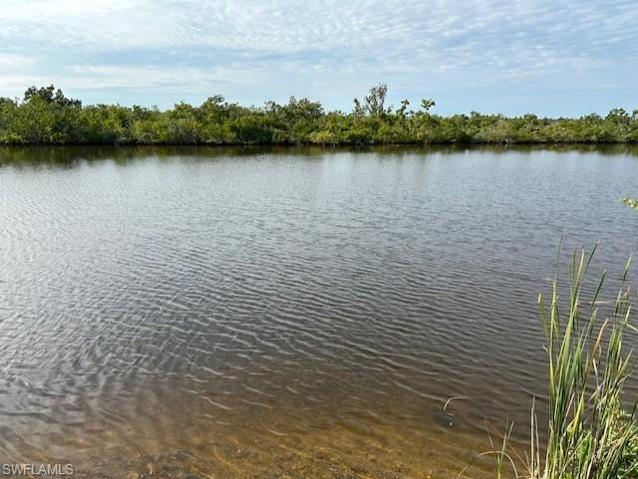 3338 NW 47th  AVE, Cape Coral, FL 33993