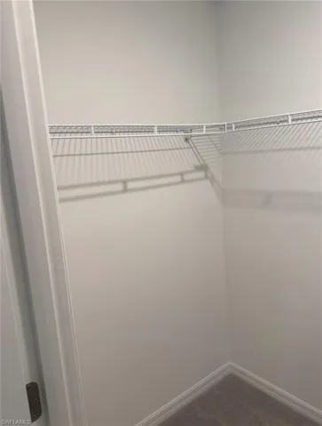 Walk in closet with carpet floors