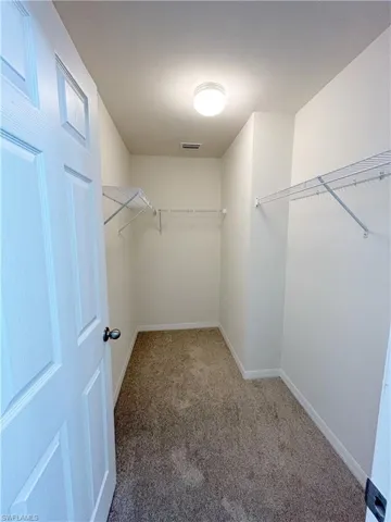 Spacious closet with visible vents and carpet flooring
