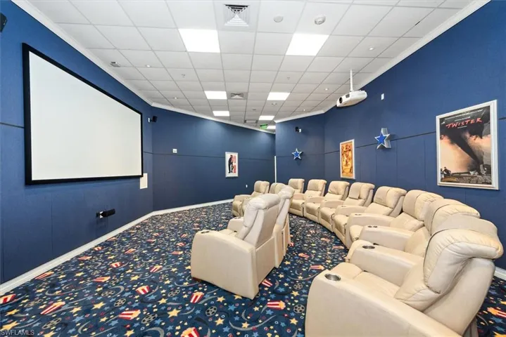 Carpeted cinema featuring a paneled ceiling and crown molding