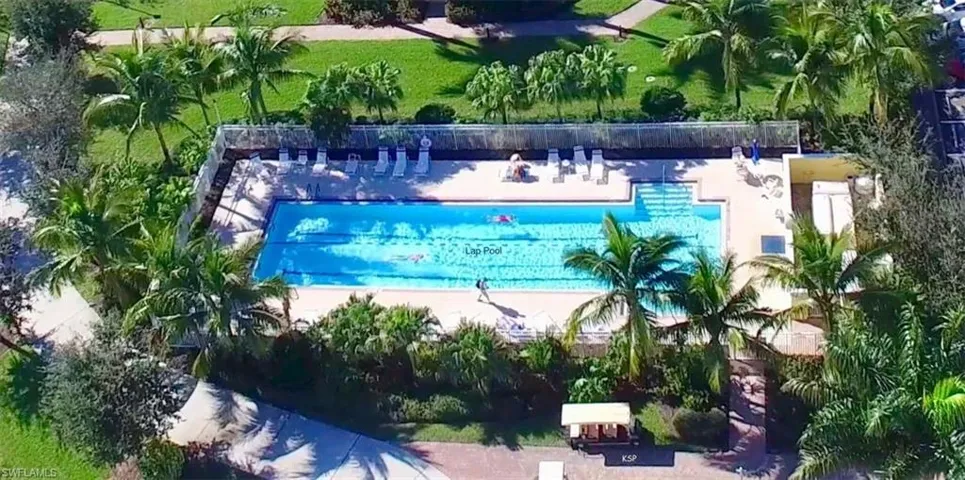 Lap Pool