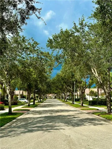 Tree lined streets have sidewalks on both sides.