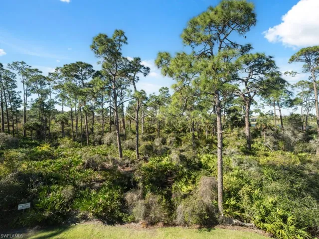 View of nature