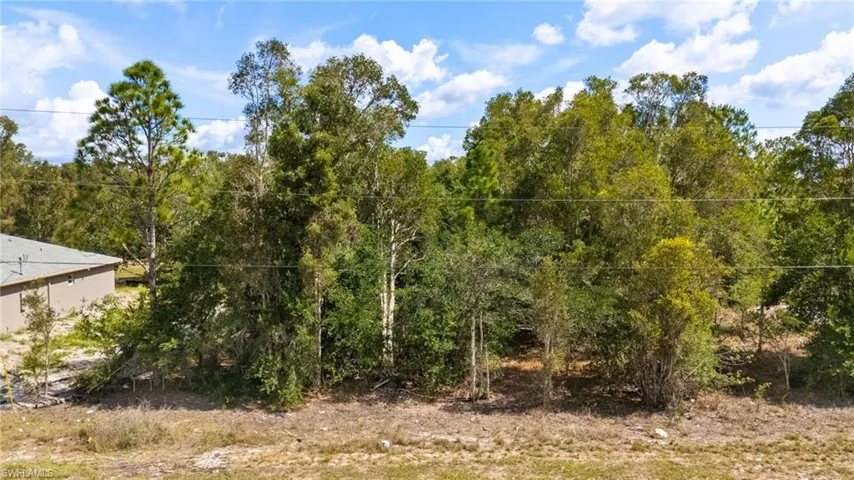 View of wooded area