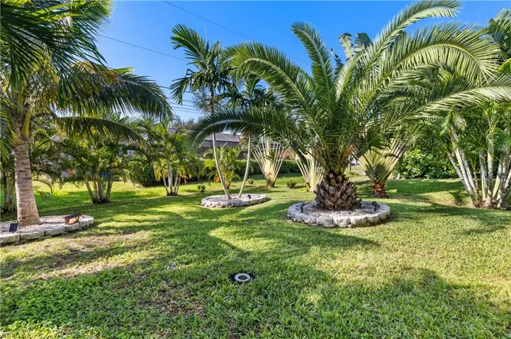 View of back yard and green lawn