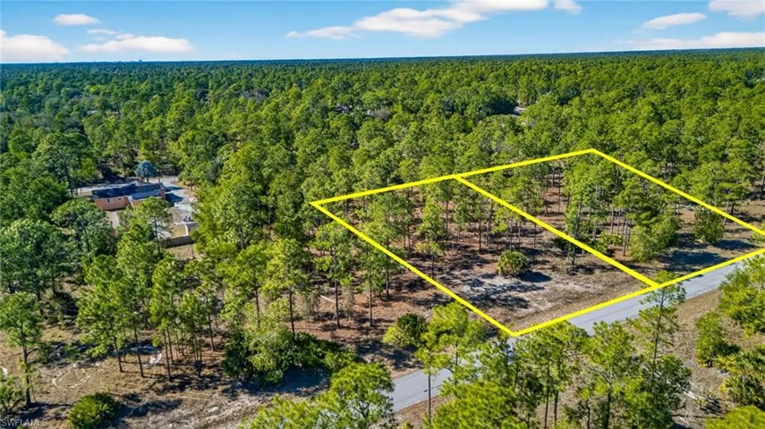 View of property location with a forest and property parcel outlined