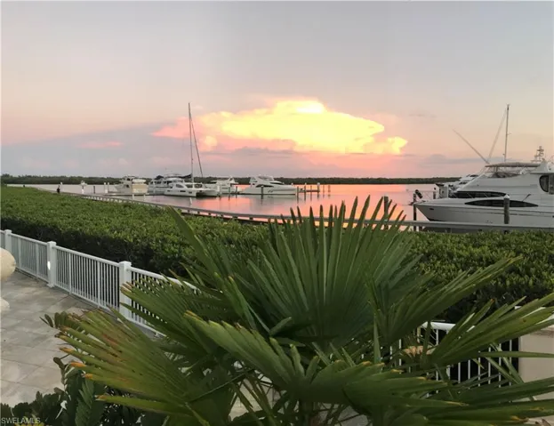 Water view with a dock