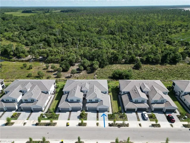 View of bird's eye view