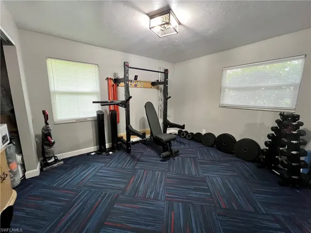 Workout area with dark carpet