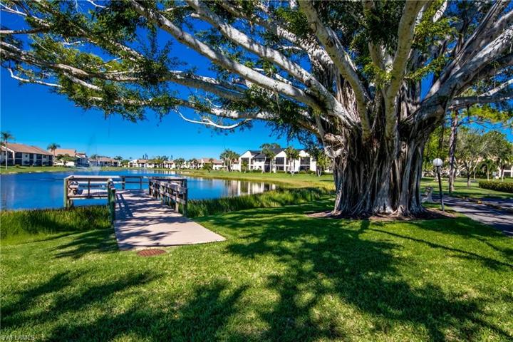 Picturesque Community Dock on the Lake under the Shade of a Gorgeous Cypress Tree.