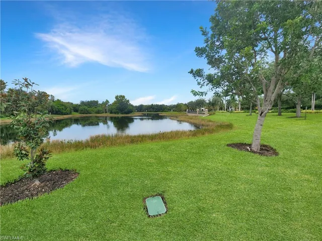 Water view