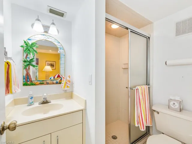 Lower level bathroom