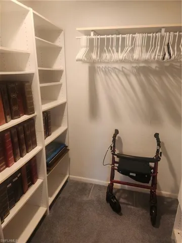 Walk in closet with dark colored carpet