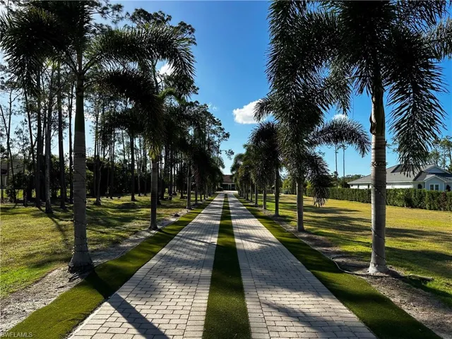 driveway view from the gate