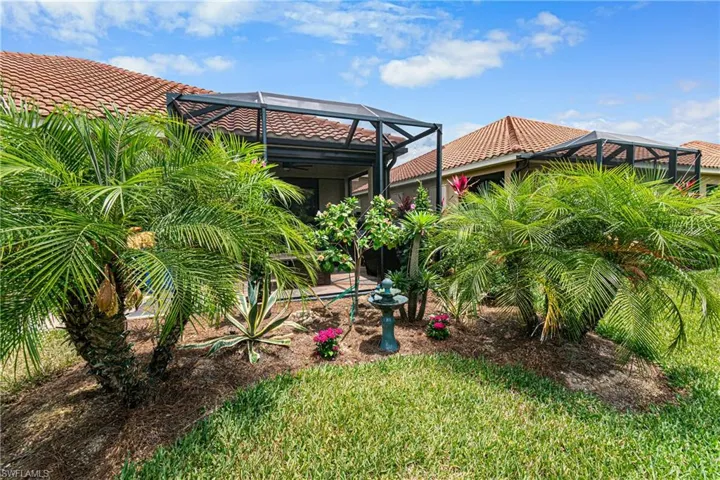 Backyard Oasis