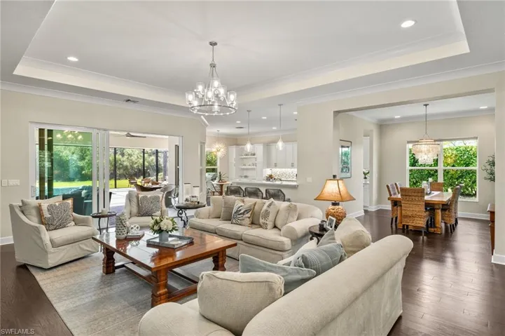 Living room featuring a tray ceiling, a healthy amount of sunlight, and dark hardwood / wood-style floors
