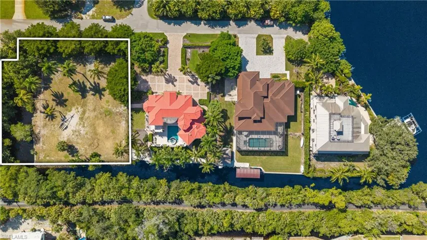 Cleared parcel with perimeter tree line and mature palm trees