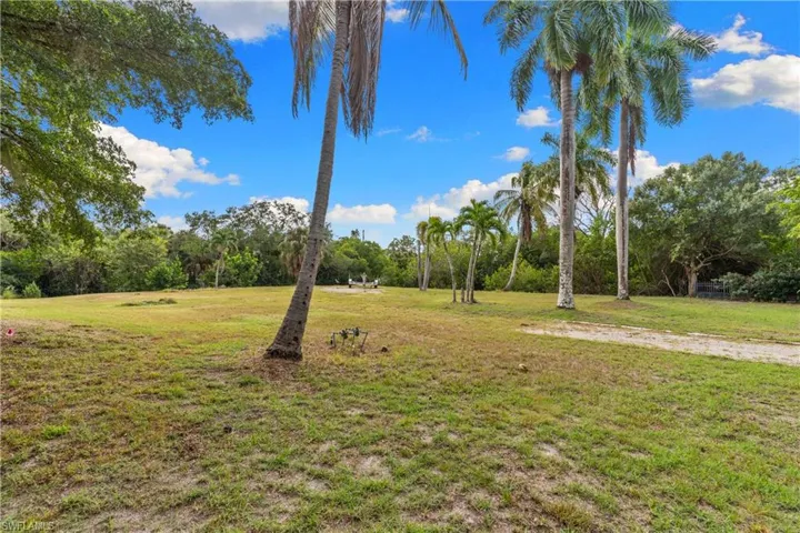 Expansive green space featuring mature palm trees and various foliage, with a partial unpaved pathway